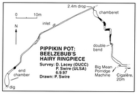 Descent 139 Pippikin Pot - Beelzebubs Ringpiece